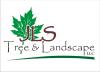JLS Tree & Landscape
